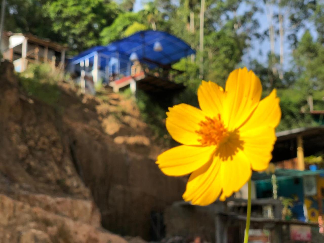 Хостел Hi Lanka Backpackers (Adults Only) Элла Экстерьер фото